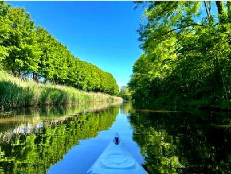 Сплав на каноэ по реке Эльба: Приключения на водных путях Центральной Европы