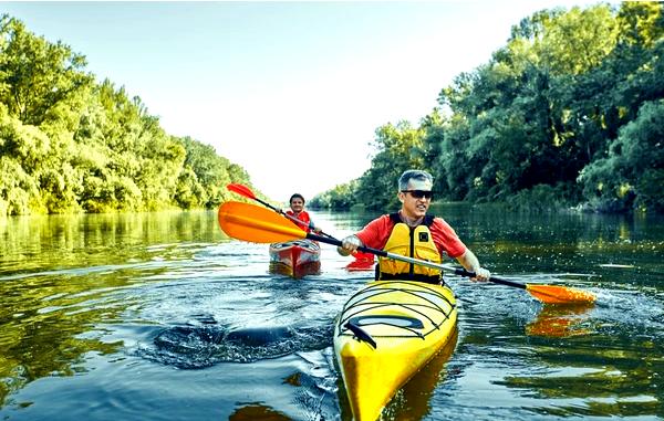 ### Понимание экосистем водно-болотных угодий